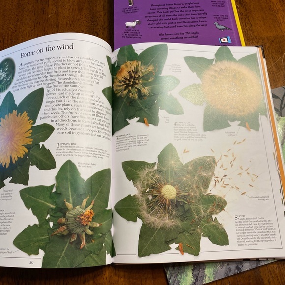 Plants, and my first book of incredible inventions.‎  Two hard back books - Picture 3 of 7